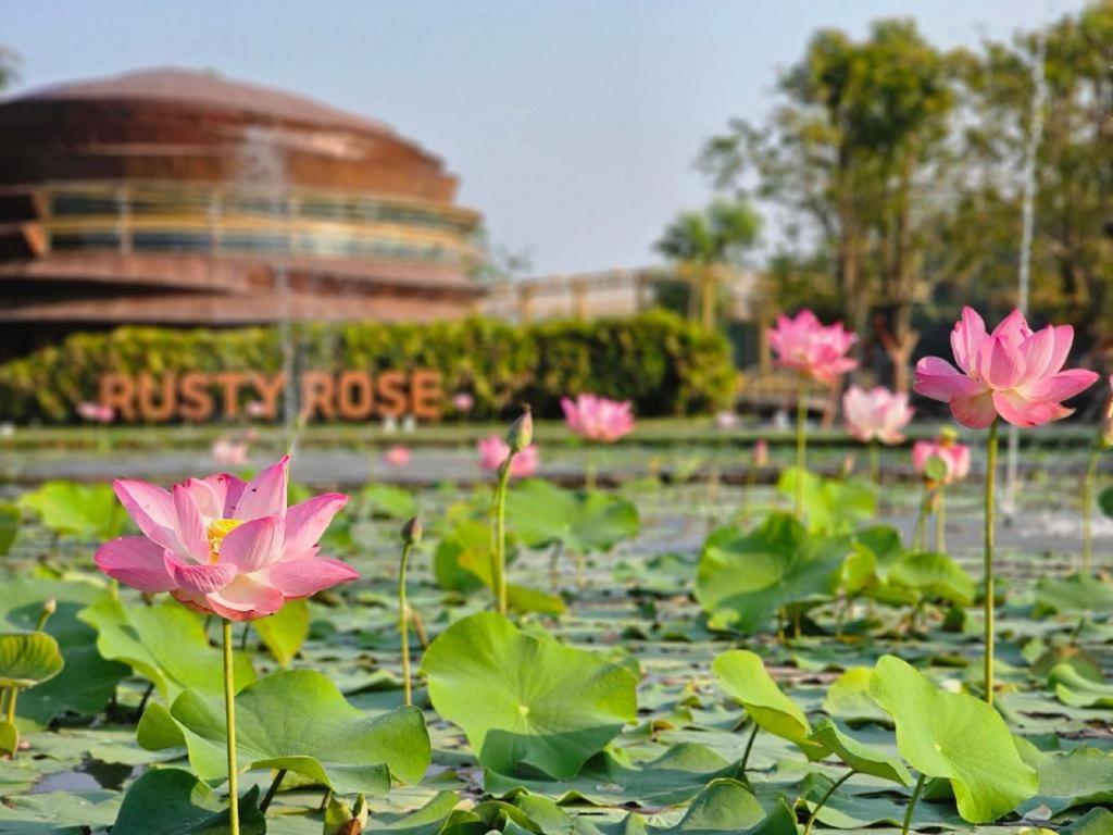 The Buffalo Amphawa Samut Songkhram Esterno foto