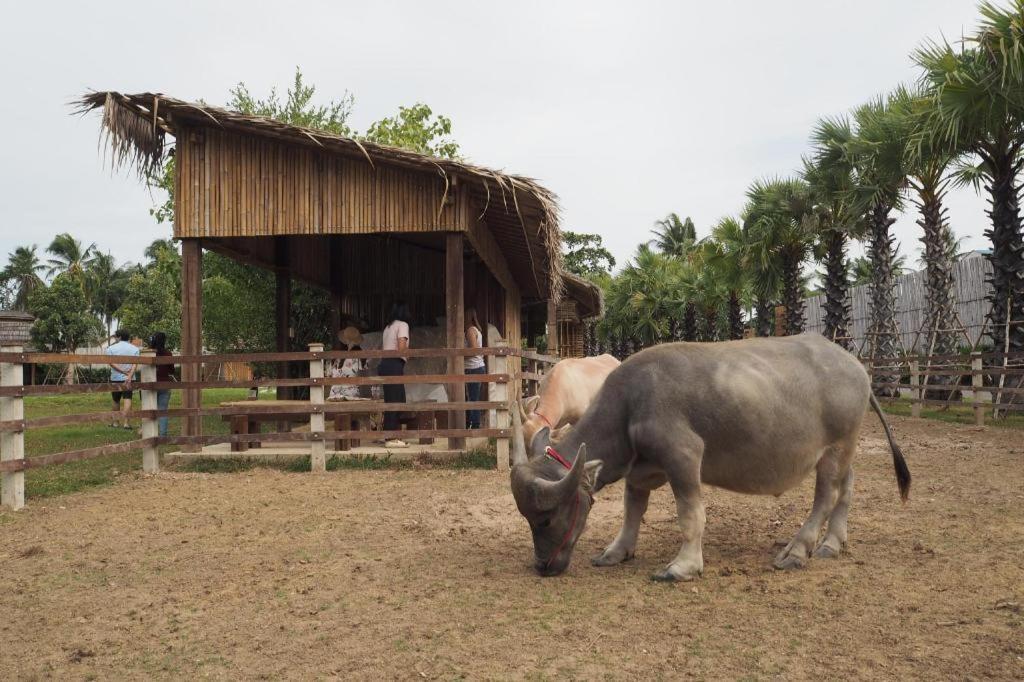 Hotel The Buffalo Amphawa Samut Songkhram Esterno foto